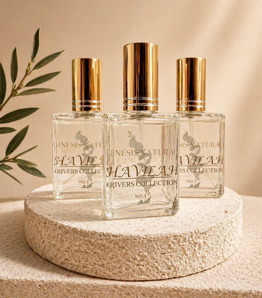 Havilah | No. 1 | 4 Rivers Collection | 15ml